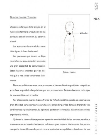 El libro del Reiki (Marcelo Losada) Ed. Libsa