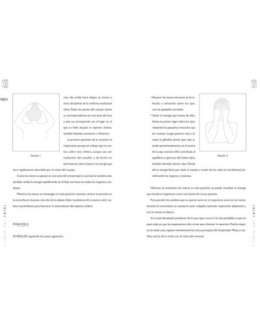 El libro del Reiki (Marcelo Losada) Ed. Libsa