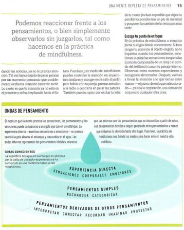 Mindfulness práctico: Guía paso a paso (Dr. Ken A. Verni). Ed. Gaia. ISBN: 9788484455912