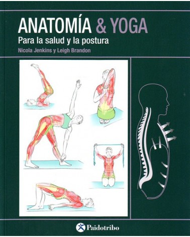 Anatomía & Yoga para la salud y la postura 
