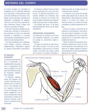 Anatomía & Yoga para la salud y la postura (Nicola Jenkins; Leigh Brandon) Ed. Paidotribo  ISBN: 9788499106618