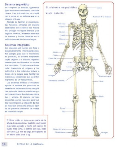 Anatomía & Yoga para la salud y la postura (Nicola Jenkins; Leigh Brandon) Ed. Paidotribo  ISBN: 9788499106618