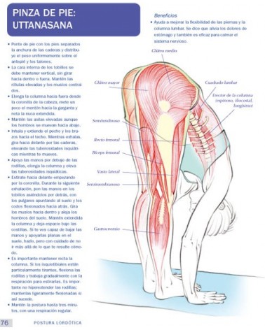 Anatomía & Yoga para la salud y la postura (Nicola Jenkins; Leigh Brandon) Ed. Paidotribo  ISBN: 9788499106618