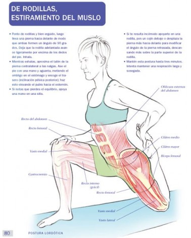 Anatomía & Yoga para la salud y la postura (Nicola Jenkins; Leigh Brandon) Ed. Paidotribo  ISBN: 9788499106618