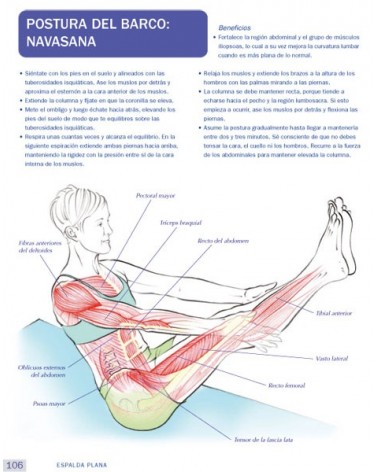 Anatomía & Yoga para la salud y la postura (Nicola Jenkins; Leigh Brandon) Ed. Paidotribo  ISBN: 9788499106618