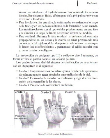 Tratado de osteopatía Tomo 4 (Francisco Fajardo Ruiz) Ed. Dilema ISBN  9788498273663