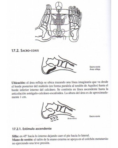 Nuevo manual de reflexología: método holístico López Blanco (Alicia López Blanco) Ed. ROBINBOOK ISBN 9788499173887 