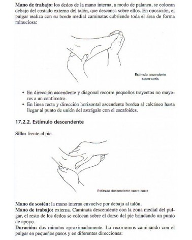 Nuevo manual de reflexología: método holístico López Blanco (Alicia López Blanco) Ed. ROBINBOOK ISBN 9788499173887 