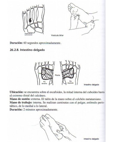 Nuevo manual de reflexología: método holístico López Blanco (Alicia López Blanco) Ed. ROBINBOOK ISBN 9788499173887 