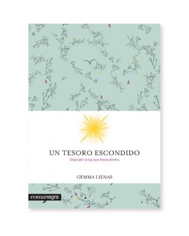 Un tesoro escondido, por Gemma Lienas. Ed. Comanegra