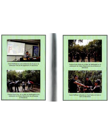 Stadhagaldr. Meditacion Postural Runica. Por David Wolfheart Ed. Luís Cárcamo