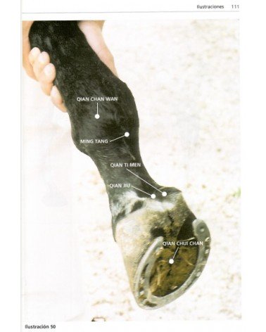 Acupuntura tradicional china en el caballo, por Robert Stodulka. Ed. Lettera