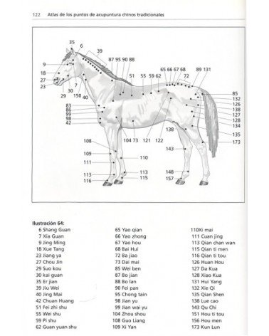 Acupuntura tradicional china en el caballo, por Robert Stodulka. Ed. Lettera