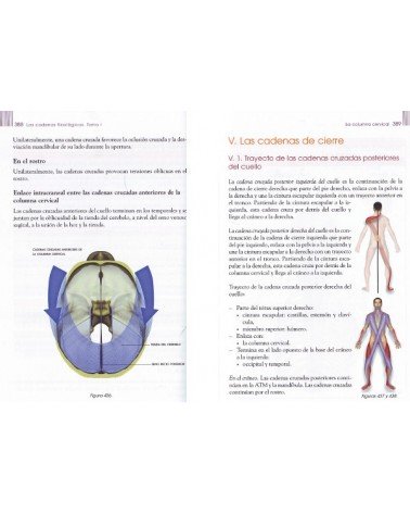 LAS CADENAS FISIOLÓGICAS - Tomo I - Fundamentos del método