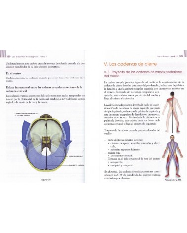 LAS CADENAS FISIOLÓGICAS - Tomo I - Fundamentos del método