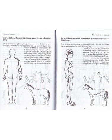 Terapias con diapasón, por Thomas Künne y Patricia Nischwitz. Ed. EDAF