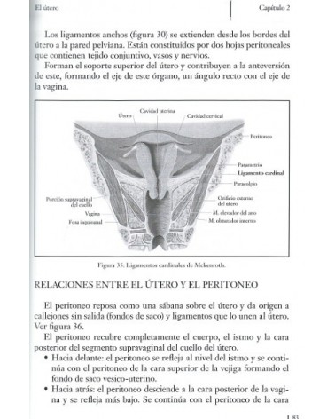 Tratado de osteopatía Tomo 5, por Francisco Fajardo Ruiz. Ed. Dilema