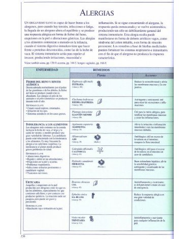Las plantas medicinales, por Penelope Ody.  Ed. Raíces