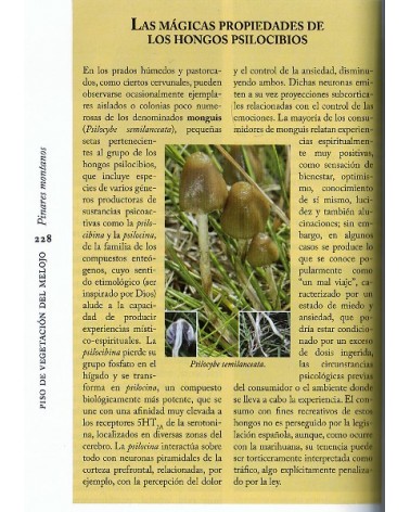 Guía de campo del Sistema Central, por Modesto Luceño / Pablo Vargas / Bernardo García. Ed. Raíces