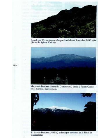 Guía de campo del Sistema Central, por Modesto Luceño / Pablo Vargas / Bernardo García. Ed. Raíces