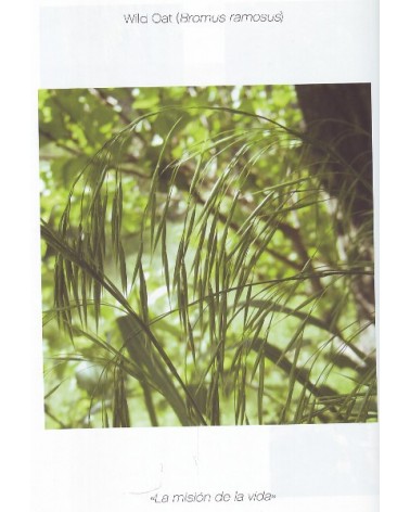 Cuaderno Botanico De Las Flores De Bach | Jordi Canellas  | ed. Integral