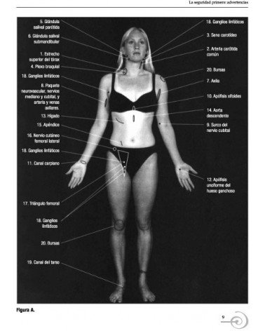 Masaje De Los Tejidos Profundos Guia Visual De Las Tecnicas | Art Riggs  | ed. Paidotribo
