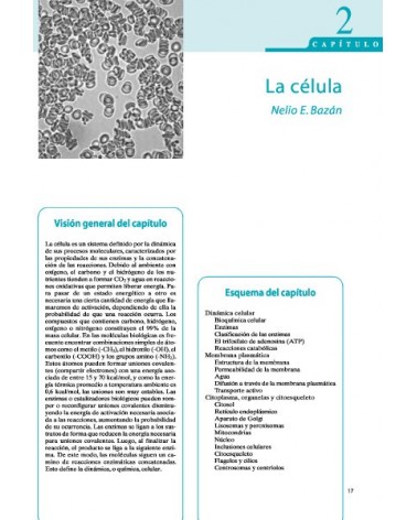 Bases fisiológicas del ejercicio, por Nelio Eduardo Bazán. Ed. Paidotribo