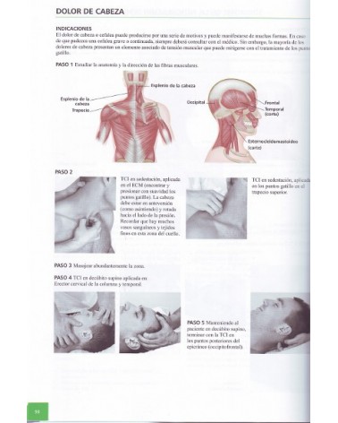 El Libro Conciso De Los Puntos Gatillo | Simeon Niel-asher  | ed. Paidotribo