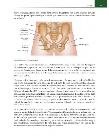 Anatomía funcional del Yoga (Color), por  David Keil. Ed. Paidotribo