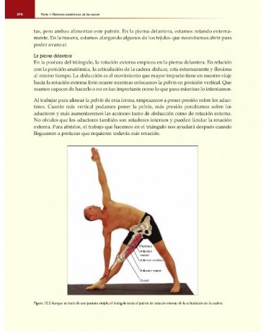 Anatomía funcional del Yoga (Color), por  David Keil. Ed. Paidotribo