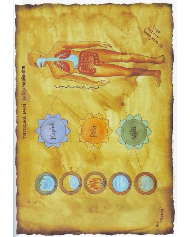 La ciencia del ayurveda, por  Acharya Balkrishna. Ed. Gaia