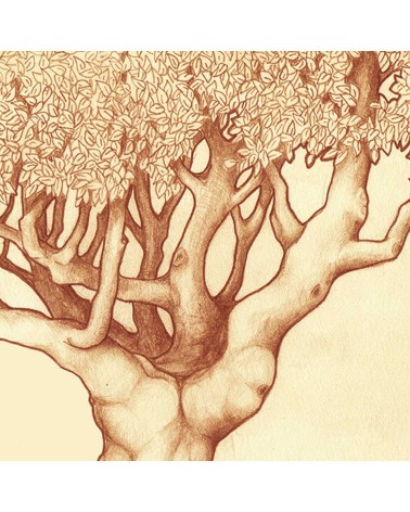 El libro rojo de las niñas, por Cristina Romero. Ed. Ob Stare