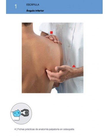 Fichas prácticas de anatomía palpatoria en osteopatía (Color), por Maurice Carpentieri / Philippe Gadet. Ed. Paidotribo