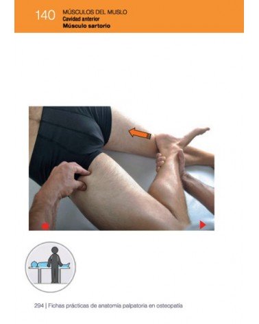 Fichas prácticas de anatomía palpatoria en osteopatía (Color), por Maurice Carpentieri / Philippe Gadet. Ed. Paidotribo