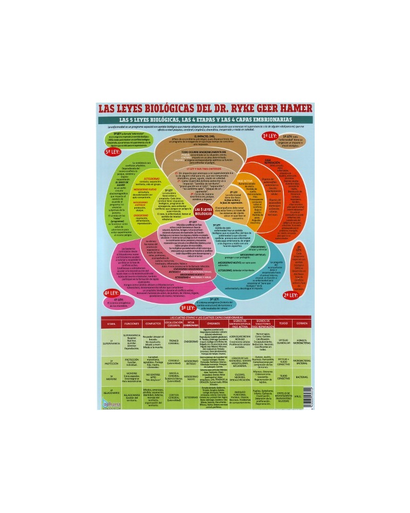 Ficha A4 plastificada tabla de la Nueva Medicina Biológica