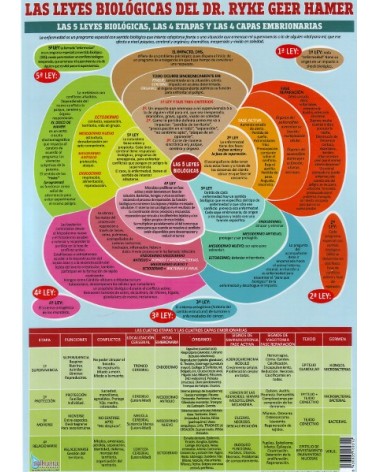 Ficha A4 plastificada tabla de la Nueva Medicina Biológica