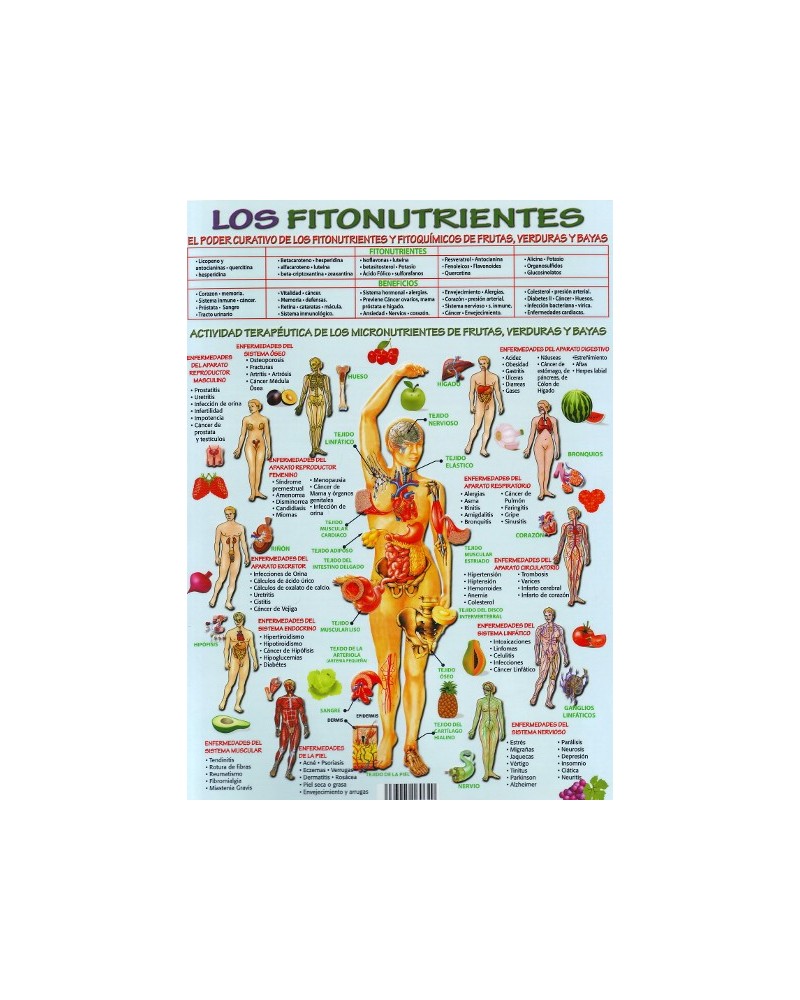 Ficha A4 plastificada LOS FITONUTRIENTES. Editorial Adhana