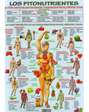 Ficha A4 plastificada LOS FITONUTRIENTES. Editorial Adhana