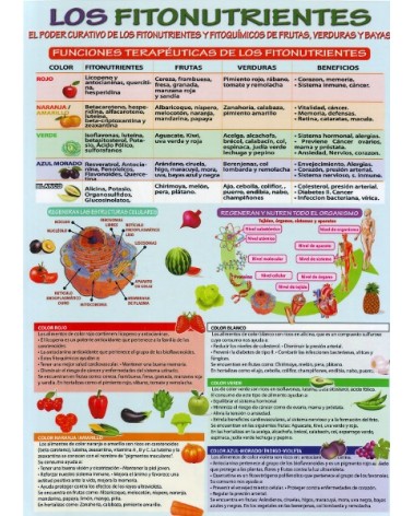 Ficha A4 plastificada LOS FITONUTRIENTES. Editorial Adhana