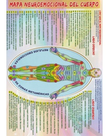 Ficha A4 plastificada Mapa Neuroemocional del Cuerpo. editorial Adhana