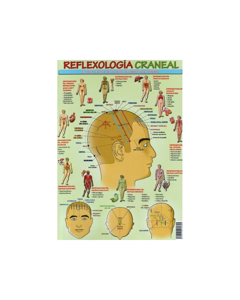 Ficha A4 plastificada Reflexologia craneal . Editorial Adhana.