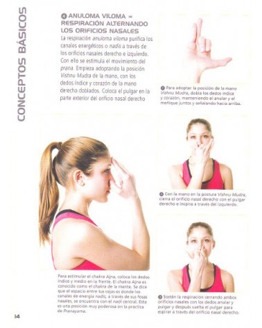 Anatomía del yoga, por Abigail Ellsworth. Editorial Hispano Europea