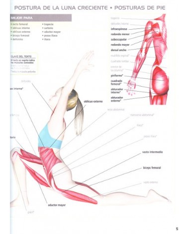 Anatomía del yoga, por Abigail Ellsworth. Editorial Hispano Europea