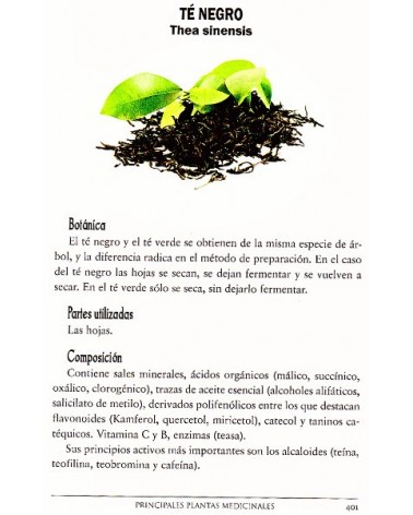 Plantas medicinales de todo el mundo, por Adolfo Perez Agustí. Editorial Dilema