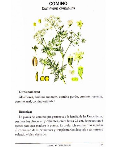 Especias culinarias. Propiedades curativas, por Adolfo Pérez Agustí. Editorial  Dilema