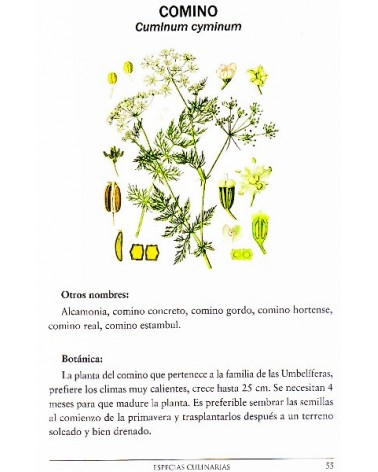 Especias culinarias. Propiedades curativas, por Adolfo Pérez Agustí. Editorial  Dilema