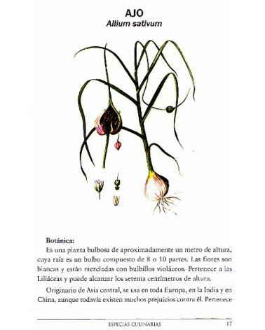 Especias culinarias. Propiedades curativas, por Adolfo Pérez Agustí. Editorial  Dilema