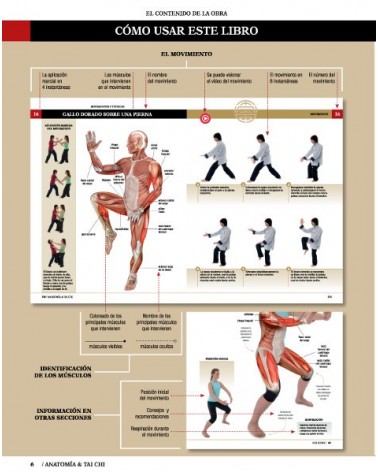 Anatomía & Tai Chi, por Isabel Romero Albiol, David Curto Secanella. Editorial Paidotribo