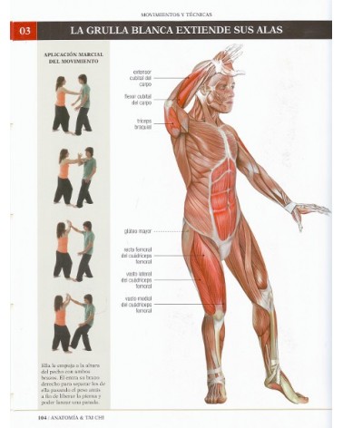 Anatomía & Tai Chi, por Isabel Romero Albiol, David Curto Secanella. Editorial Paidotribo