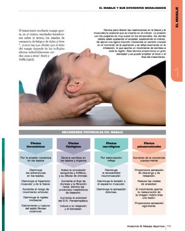 Anatomía y Masaje Deportivo, por  Artur Jacomet Carrasco y Josep Mármol Esparcia. Ediciones Paidotribo